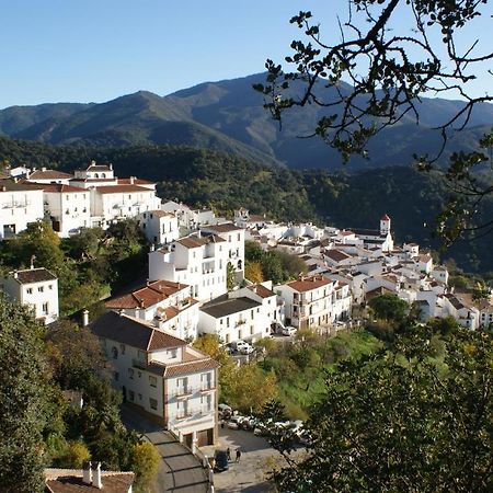 Apartamentos Rurales Jardines Del Visir 헤날과실 외부 사진