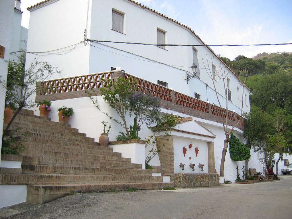Apartamentos Rurales Jardines Del Visir 헤날과실 객실 사진