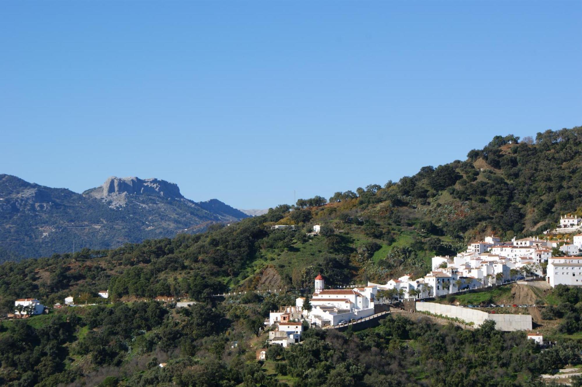 Apartamentos Rurales Jardines Del Visir 헤날과실 외부 사진
