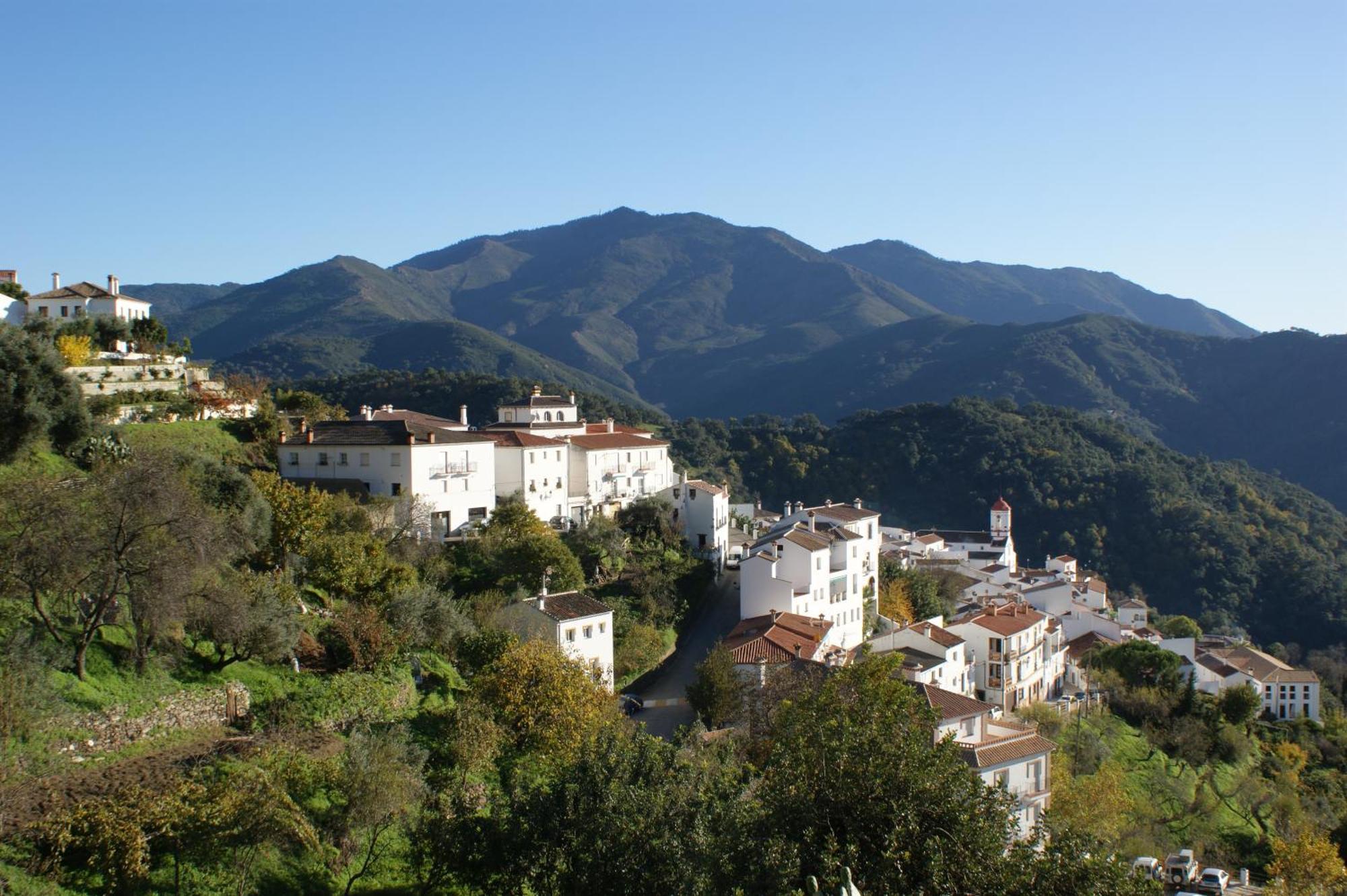 Apartamentos Rurales Jardines Del Visir 헤날과실 외부 사진