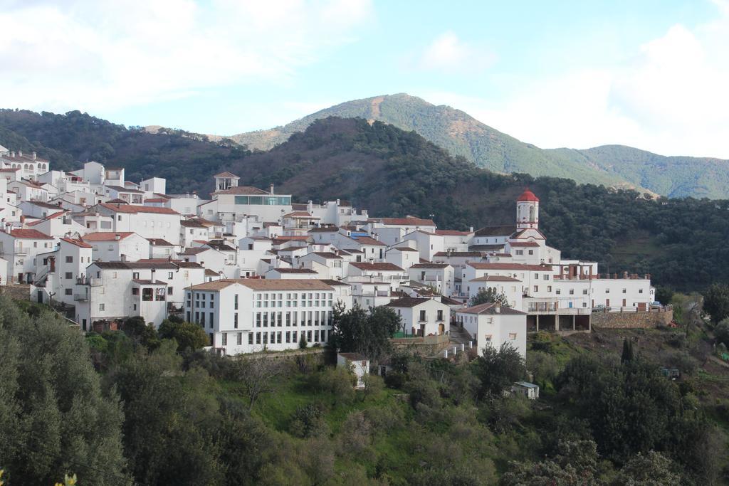 Apartamentos Rurales Jardines Del Visir 헤날과실 외부 사진