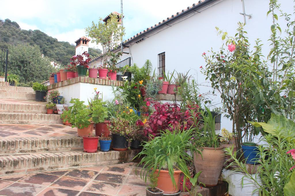 Apartamentos Rurales Jardines Del Visir 헤날과실 외부 사진