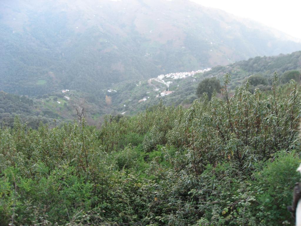 Apartamentos Rurales Jardines Del Visir 헤날과실 외부 사진