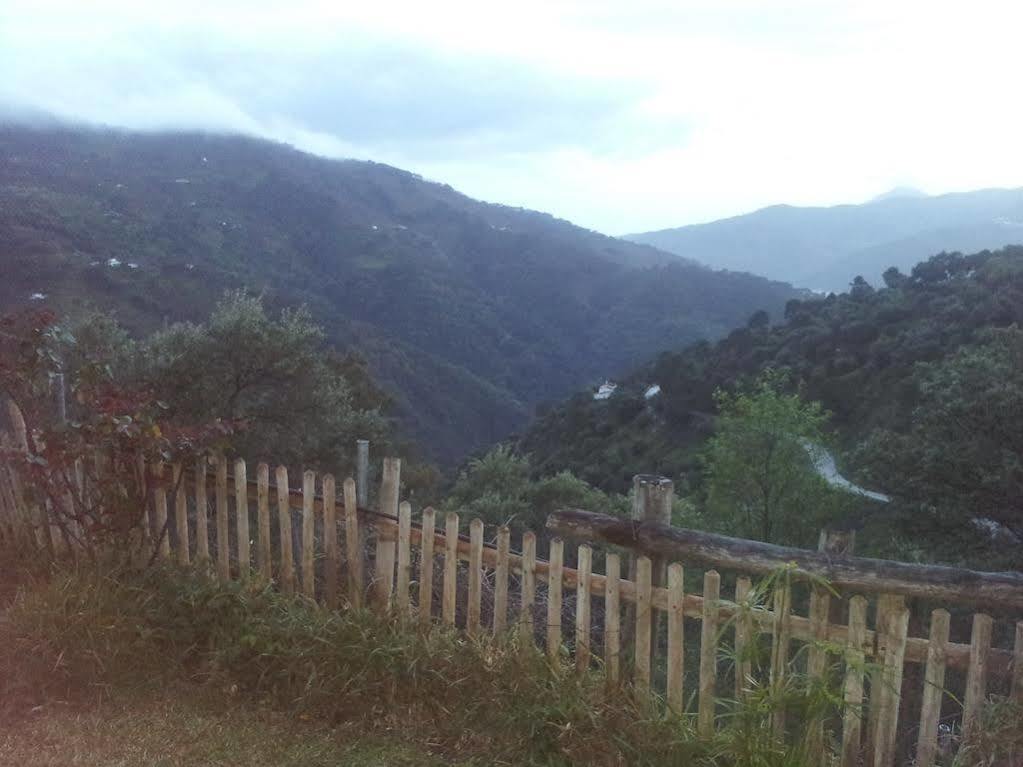 Apartamentos Rurales Jardines Del Visir 헤날과실 외부 사진